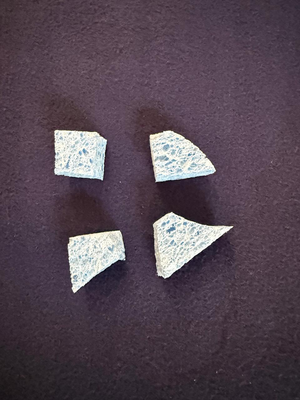Irregular blue sponge shape used at inference