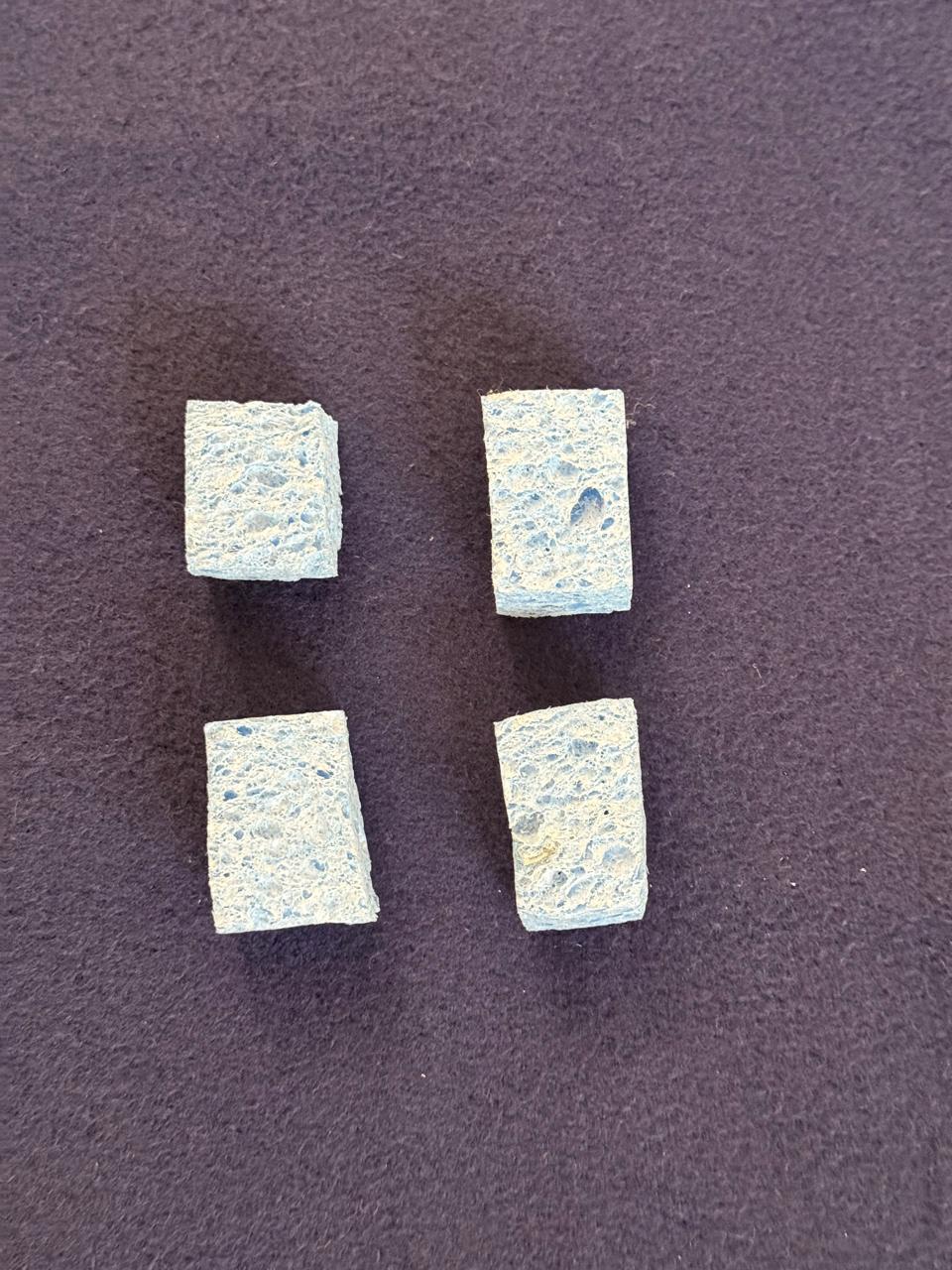 Regular blue sponge used during training